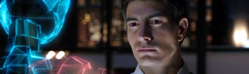 Ray Palmer Arrow